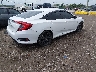 2HGFC2F84LH****** Salvamento y Destrozados 2020 Honda Civic en Estado de Tennessee