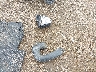 1C4PJMBX0ND****** Destrozados 2022 Jeep Cherokee en Estado de Texas