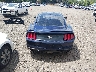 1FA6P8TH4K5****** Used 2019 Ford Mustang