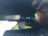 5NMJBCDEXRH****** Used 2024 Hyundai Tucson