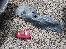 1C6SRFKT1KN****** Wrecked 2019 RAM 1500 in Louisiana State