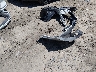 2T1BURHE6KC****** Destrozados 2019 Toyota Corolla en Estado de Carolina del Sur