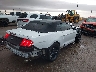 1FATP8UH0L5****** Salvamento y Destrozados 2020 Ford Mustang en Estado de Texas