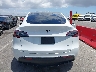 7SAYGDEE4PF****** Wrecked 2023 Tesla Model Y
