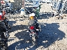 SMTD44G71RT****** Salvage and Repairable 2024 Triumph Scrambler in California State