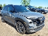 KL79MUSL9SB****** Salvage and Repairable 2025 Chevrolet Trailblazer in Michigan State