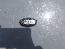 1N4BL4DW9KN****** Salvage 2019 Nissan Altima in Illinois State