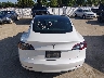 5YJ3E1EA0PF****** Repairable 2023 Tesla Model 3