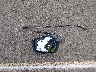 JTLZE4FE2DJ****** Wrecked 2013 Scion xB in Hawaii State