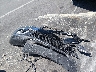 JA4AP3AW2JU****** Destrozados 2018 Mitsubishi Outlander en Estado de Carolina del Norte
