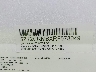 5ZT2CRMBXRF****** Used 2024 Forest River Campsite in Rec Rides Online Exclusive