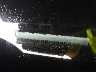 1C4PJMDB2GW****** Used 2016 Jeep Cherokee in Elkton