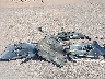 JTHBE1BL3FA****** Wrecked 2015 Lexus GS in Hawaii State