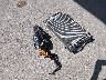 4S4GUHN6XS3****** Usados y Reparables 2025 Subaru Crosstrek en Austin North