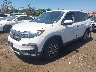 5FNYF6H59NB****** Usados y Reparables 2022 Honda Pilot en Avenel New Jersey