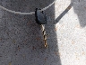 5NPDH4AE1EH****** Salvage 2014 Hyundai Elantra in New Hampshire State