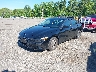 KMHLL4DG5TU****** Used and Repairable 2026 Hyundai Elantra in Templeton