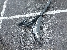 5XYZT3LB8JG****** Destrozados 2018 Hyundai Santa Fe en Estado de Tennessee