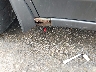 JH4CU26679C****** Salvamento y Destrozados 2009 Acura TSX en Saint Louis