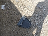 19XFB2F81EE****** Wrecked 2014 Honda Civic in Tennessee State