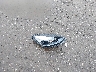7SAYGDEF1NF****** Destrozados 2022 Tesla Model Y en Estado de Maryland