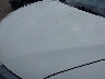 5N1AT2MV2KC****** Salvamento y Reparables 2019 Nissan Rogue en Estado de Minnesota