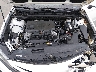 4T1G11AK8MU****** Reparables 2021 Toyota Camry en Buckhannon
