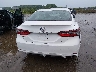 4T1G11AK8MU****** Destrozados 2021 Toyota Camry