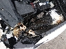 4T1G11AK8MU****** Usados 2021 Toyota Camry