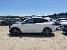 1FMCU0MN4RU****** Salvage 2024 Ford Escape
