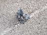 5N1AR2MN4EC****** Wrecked 2014 Nissan Pathfinder in Texas State
