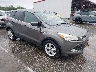 1FMCU0GX7EU****** Salvage and Wrecked 2014 Ford Escape in Indianapolis South