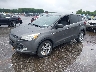 1FMCU0GX7EU****** Used and Repairable 2014 Ford Escape in Indianapolis South