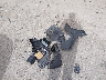 1N6ED0FB9LN****** Destrozados 2020 Nissan Frontier en Estado de New Hampshire