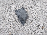 JTDEPRAE1LJ****** Destrozados 2020 Toyota Corolla en Estado de Kentucky