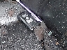 WBA3B5C52DF****** Salvage 2013 BMW 3 Series in New York State