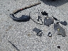WP0CB2A99HS****** Repairable 2017 Porsche 911