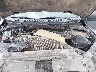 1FTEW1C58LK****** Repairable 2020 Ford F-150 in San Antonio South