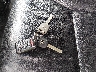 5FNRL38968B****** Salvage 2008 Honda Odyssey in Illinois State