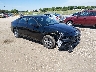 KMHLL4DG8SU****** Salvage and Wrecked 2025 Hyundai Elantra in Lincoln