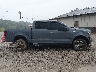 1FTEW1E53LK****** Repairable 2020 Ford F-150 in Kentucky State