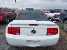 1ZVHT84N785****** Destrozados 2008 Ford Mustang