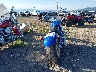 1HD1JK5138Y****** Salvage and Repairable 2008 Harley-Davidson Rocker C in Montana State