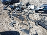 5N1BT3AB7RC****** Salvamento y Destrozados 2024 Nissan Rogue en Missoula