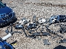 5N1BT3AB7RC****** Salvamento y Destrozados 2024 Nissan Rogue en Estado de Montana