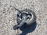 5NPEG4JA3NH****** Wrecked 2022 Hyundai Sonata in Massachusetts State