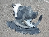 5XYP24HC1LG****** Wrecked 2020 Kia Telluride in Hawaii State