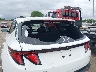 5NMJBCDE4RH****** Repairable 2024 Hyundai Tucson