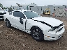 1ZVBP8AM1D5****** Salvage and Wrecked 2013 Ford Mustang in Cincinnati
