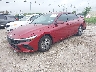 KMHLL4DG3SU****** Used and Repairable 2025 Hyundai Elantra in San Antonio South